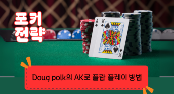 [포커 전략] Doug polk의 AK로 플랍 플레이 방법